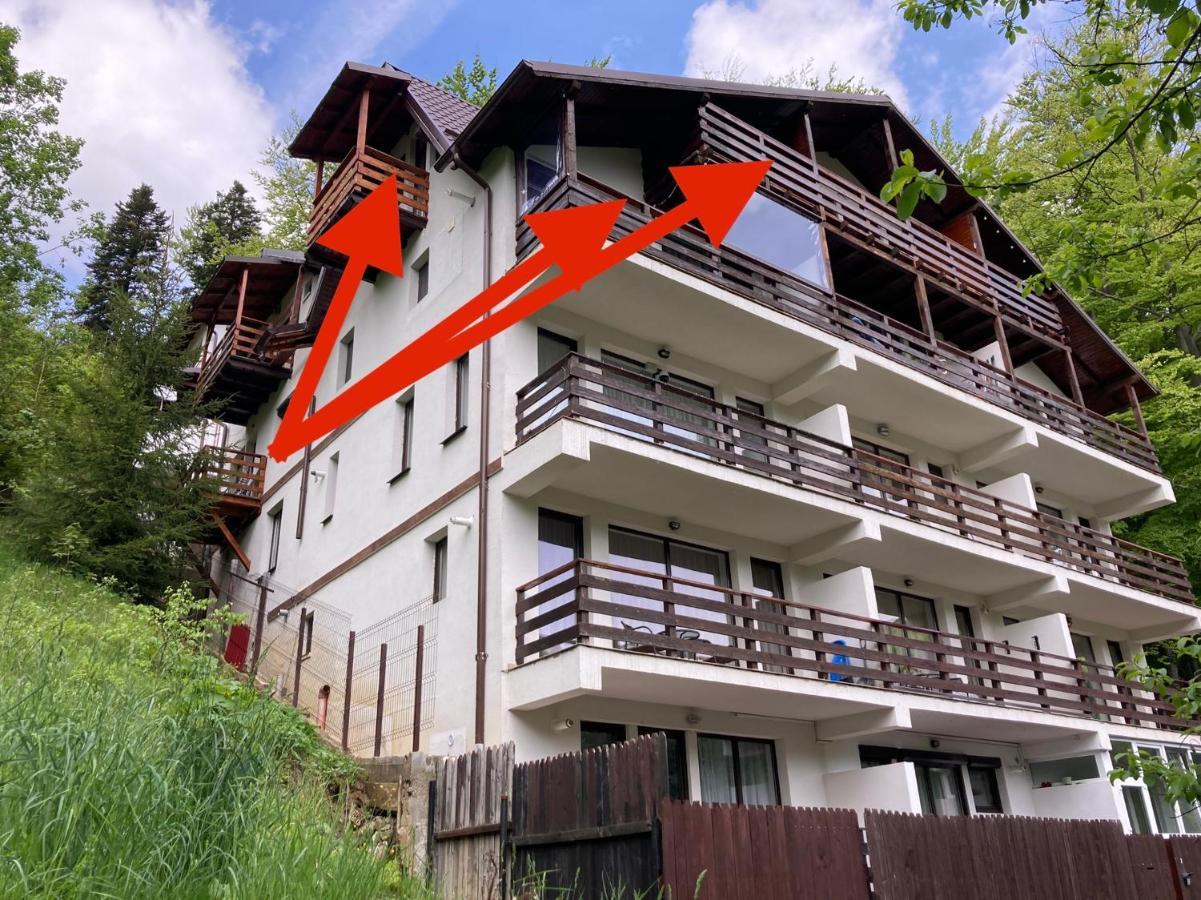 Ferienwohnung Lucas Duplex Azuga Exterior foto