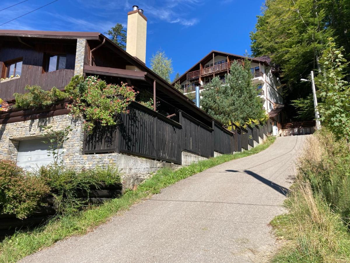 Ferienwohnung Lucas Duplex Azuga Exterior foto